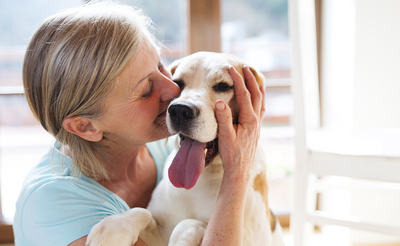 The Best GPS Collars and Trackers For Your Dog
