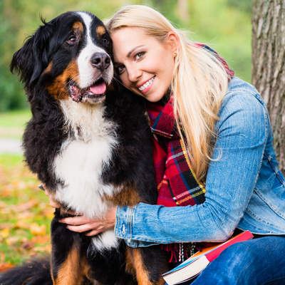 The 18 Essential Don’ts For A Well Trained Dog
