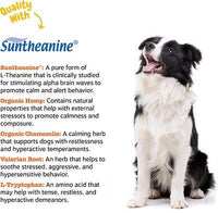 Zesty Paws Stress & Anxiety Calming Bites with Suntheanine & Hemp Peanut Butter Flavor Soft Chews Dog Supplement