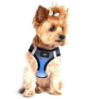 American River Choke Free Dog Harness Ombre Collection - Midnight Sky
