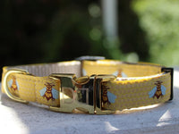 Honey Bee Dog Collar and Leash with Yellow Gold Metal Buckles