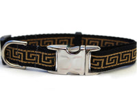 Caesar Dog Collar with Silver Metal Buckle