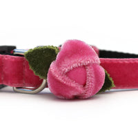 Rosebud Pink Cat Collar