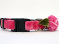 Rosebud Pink Cat Collar
