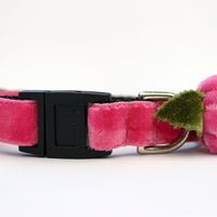 Rosebud Pink Cat Collar