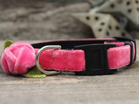 Rosebud Pink Cat Collar
