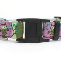 H'Owl Purple Cat Collar