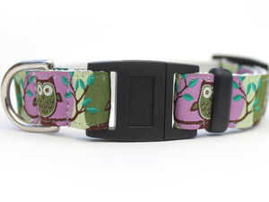 H'Owl Purple Cat Collar