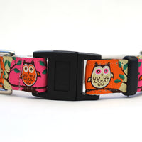 H'Owl Pink Cat Collar