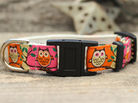 H'Owl Pink Cat Collar
