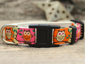 H'Owl Pink Cat Collar