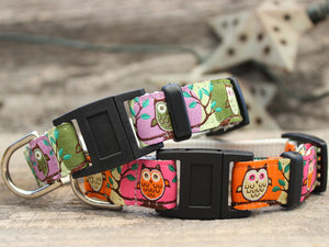 H'Owl Pink Cat Collar