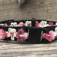 Coco Pink Cat Collar