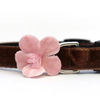 Camellia Velvet Pink Cat Collar