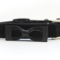 Bowtie Black Cat Collar