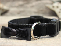 Bowtie Black Cat Collar
