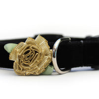 A Formal Affair Cat Collar