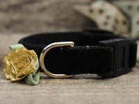 A Formal Affair Cat Collar
