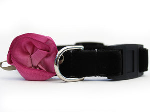 Carnation Velvet Orchid Cat Collar