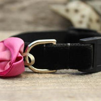 Carnation Velvet Orchid Cat Collar