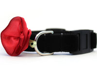 Carnation Red Velvet Cat Collar
