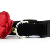 Carnation Red Velvet Cat Collar