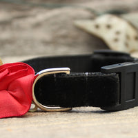 Carnation Red Velvet Cat Collar