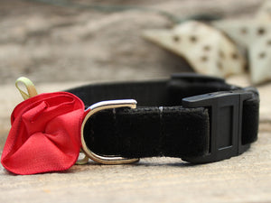 Carnation Red Velvet Cat Collar