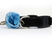 Carnation Blue Velvet Cat Collar
