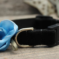 Carnation Blue Velvet Cat Collar