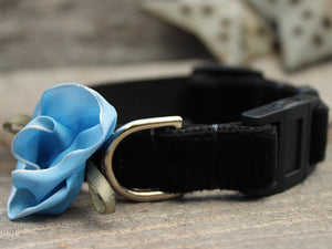 Carnation Blue Velvet Cat Collar