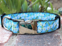 Daisy Dog Collar with Silver Metal Buckles
