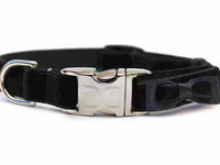 Bowtie Black Velvet Dog Collar Rose with Silver Metal Buckles
