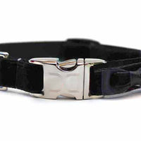 Bowtie Black Velvet Dog Collar Rose with Silver Metal Buckles