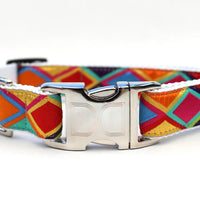 Tanzania Bright Dog Collar with Silver Buckles