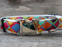 Tanzania Bright Dog Collar with Silver Buckles
