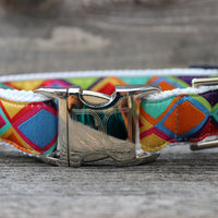 Tanzania Bright Dog Collar with Silver Buckles