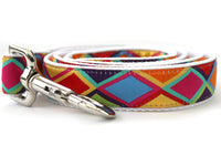 Tanzania Bright Dog Collar with Silver Buckles
