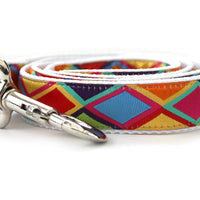 Tanzania Bright Dog Collar with Silver Buckles