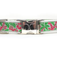 Tahiti Dog Collar with Silver Metal Buckles