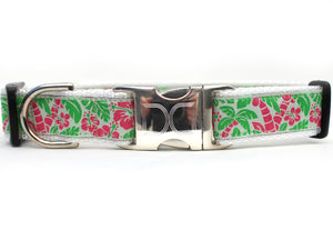 Tahiti Dog Collar with Silver Metal Buckles