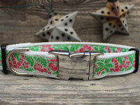 Tahiti Dog Collar with Silver Metal Buckles
