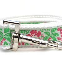 Tahiti Dog Collar with Silver Metal Buckles