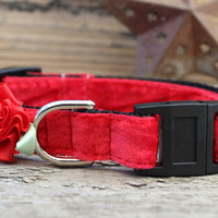 Mistletoe Red Velvet Cat Collar