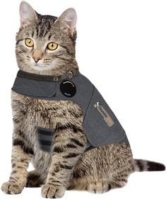 Thundershirt for Cats