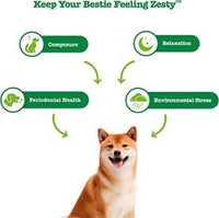 Zesty Paws Hemp Elements Calming Orastix Dog Supplement
