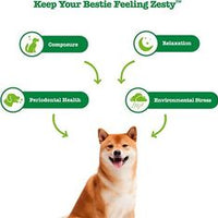 Zesty Paws Hemp Elements Calming Orastix Dog Supplement