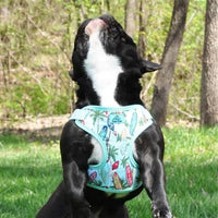 Printed Fabric With Mesh Lining Choke Free Dog Harness
