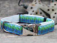 South Beach Blue Collar Silver Metal Buckles
