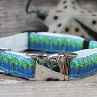 South Beach Blue Collar Silver Metal Buckles